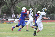 Enlarge photo 382