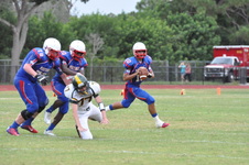 Enlarge photo 383