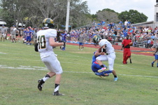 Enlarge photo 392