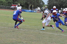 Enlarge photo 394