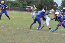 Enlarge photo 395