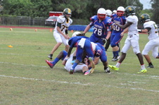 Enlarge photo 399
