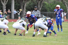 Enlarge photo 439
