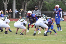 Enlarge photo 440