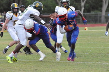 Enlarge photo 445