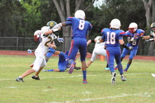 Enlarge photo 458