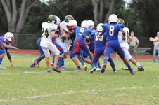 Enlarge photo 459