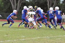 Enlarge photo 460
