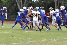 Enlarge photo 461