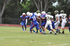 Enlarge photo 463