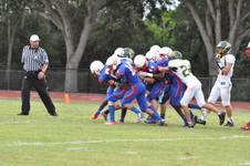 Enlarge photo 465