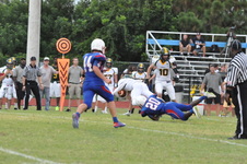 Enlarge photo 471