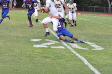 Enlarge photo 475