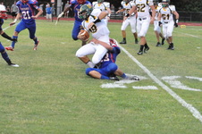 Enlarge photo 476