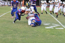 Enlarge photo 477