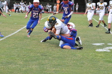 Enlarge photo 478