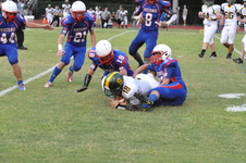 Enlarge photo 479