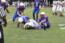 Enlarge photo 480