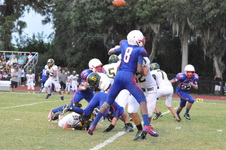 Enlarge photo 482