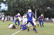 Enlarge photo 483