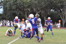 Enlarge photo 484