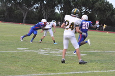 Enlarge photo 485