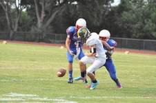 Enlarge photo 513