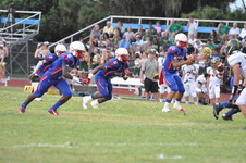 Enlarge photo 516