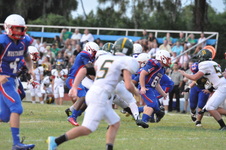 Enlarge photo 520