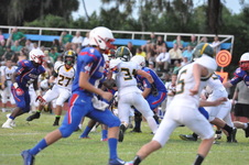 Enlarge photo 521
