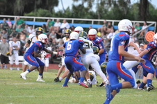 Enlarge photo 522