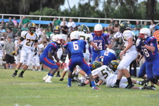 Enlarge photo 523