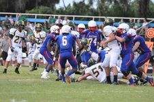 Enlarge photo 524