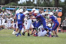 Enlarge photo 525