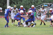 Enlarge photo 537