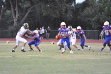 Enlarge photo 570