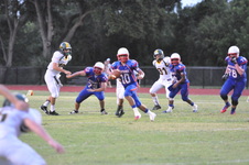 Enlarge photo 571