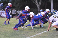 Enlarge photo 594
