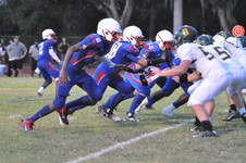 Enlarge photo 595
