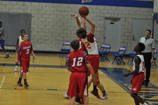 Enlarge photo 133