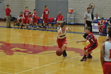 Enlarge photo 213