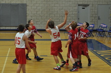 Enlarge photo 223