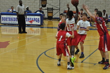 Enlarge photo 287