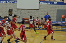 Enlarge photo 308