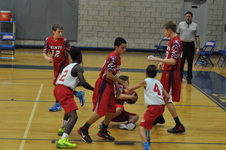 Enlarge photo 334