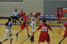 Enlarge photo 41