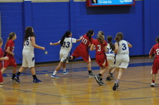 Enlarge photo 49
