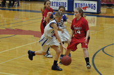 Enlarge photo 59