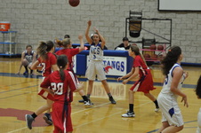 Enlarge photo 85