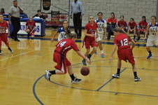 Enlarge photo 117